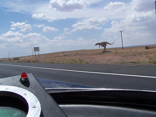 dino.jpg